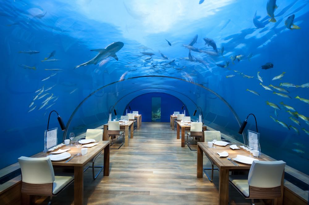 Ithaa Undersea Restaurant at Conrad Maldives Rangali Island thumbnail 6